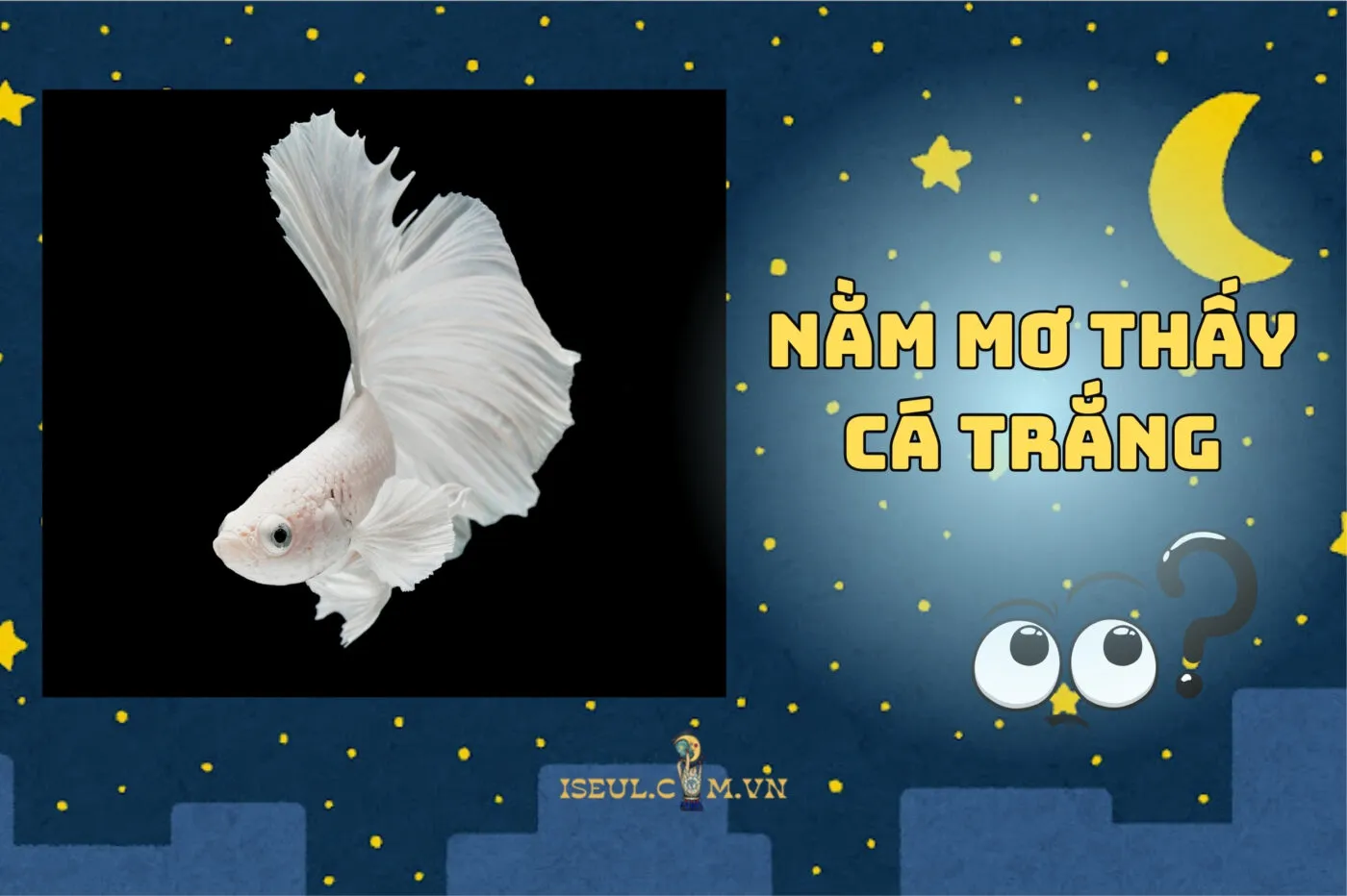 Bí ẩn nằm mơ thấy cá trắng: Tài lộc và vận may bất ngờ 2025