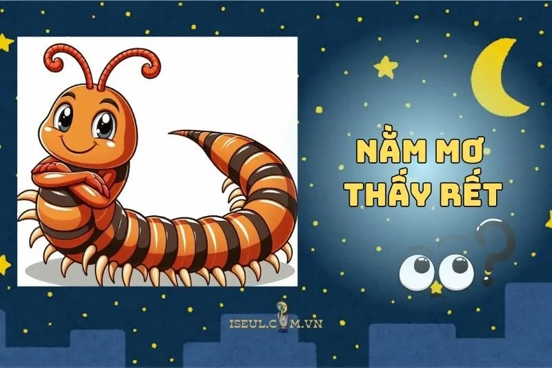 Bí Ẩn Nằm Mơ Thấy Rết: Những Điều Bạn Cần Biết 2025
