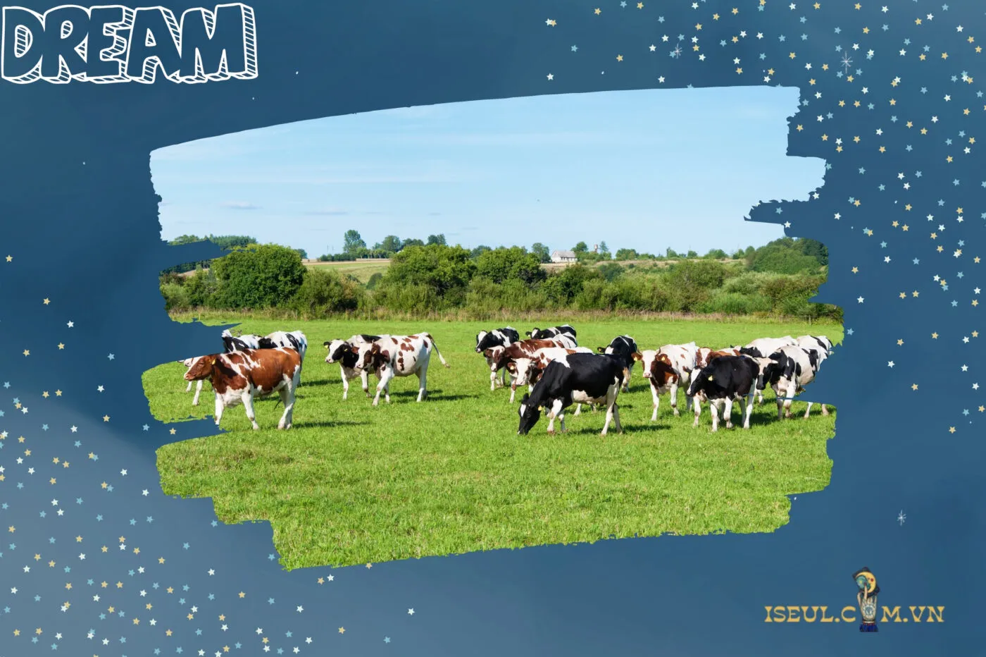 Các giấc mơ thấy bò liên quan đến sức khỏe và trạng thái tinh thần