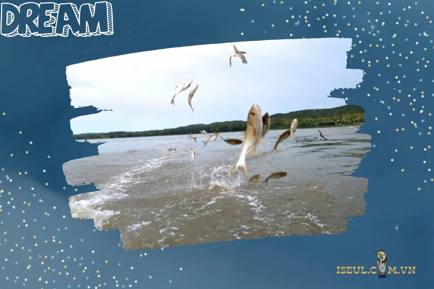 Các giấc mơ thấy cá và các con số liên quan