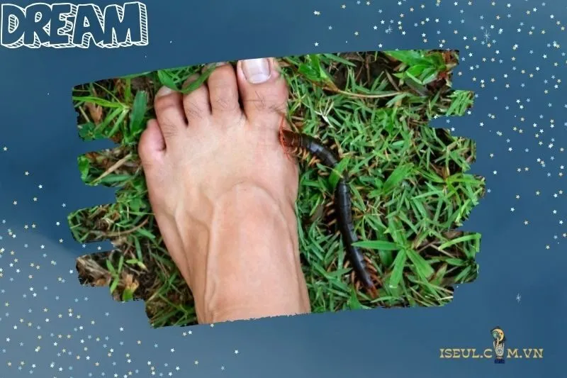 Các trường hợp khi mơ thấy rết