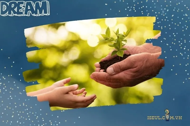 Cách Vận Dụng Ý Nghĩa Của Giấc Mơ Thấy Sư Tử Vào Cuộc Sống Thực