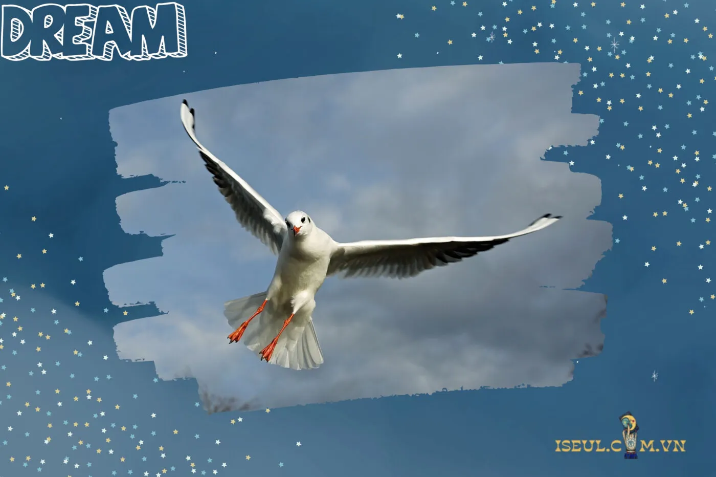 Con số may mắn liên quan đến giấc mơ thấy chim