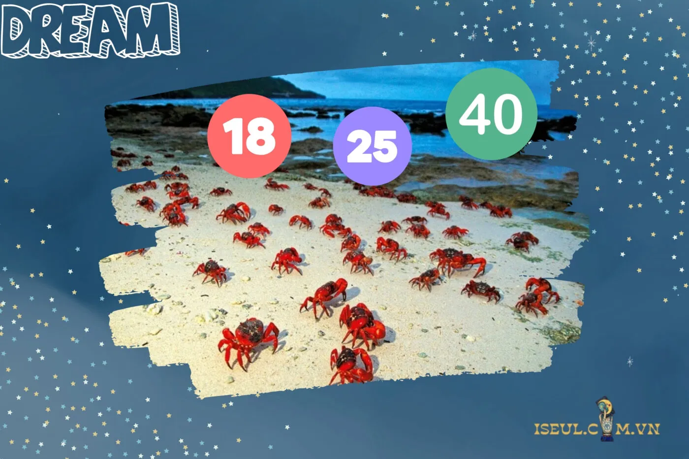 Con số may mắn liên quan đến giấc mơ thấy cua