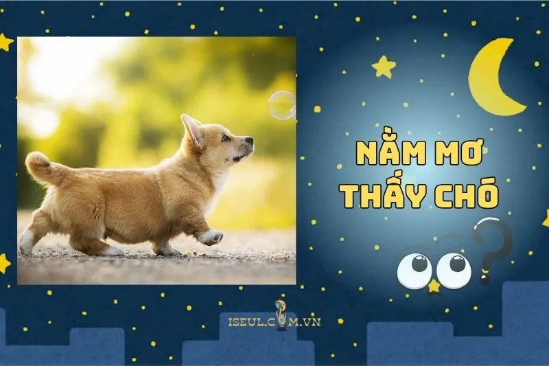 Điềm báo nào khi nằm mơ thấy chó? Con số may mắn cho bạn 2025
