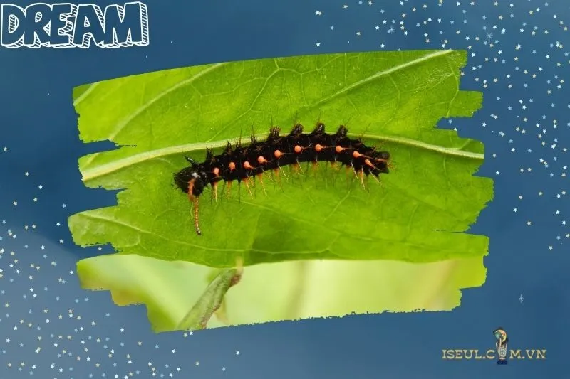 Giải mã các màu sắc của sâu trong giấc mơ