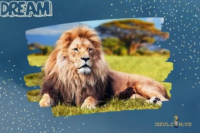 Giải Mã Giấc Mơ Thấy Sư Tử: Điềm Báo Tốt Hay Xấu?