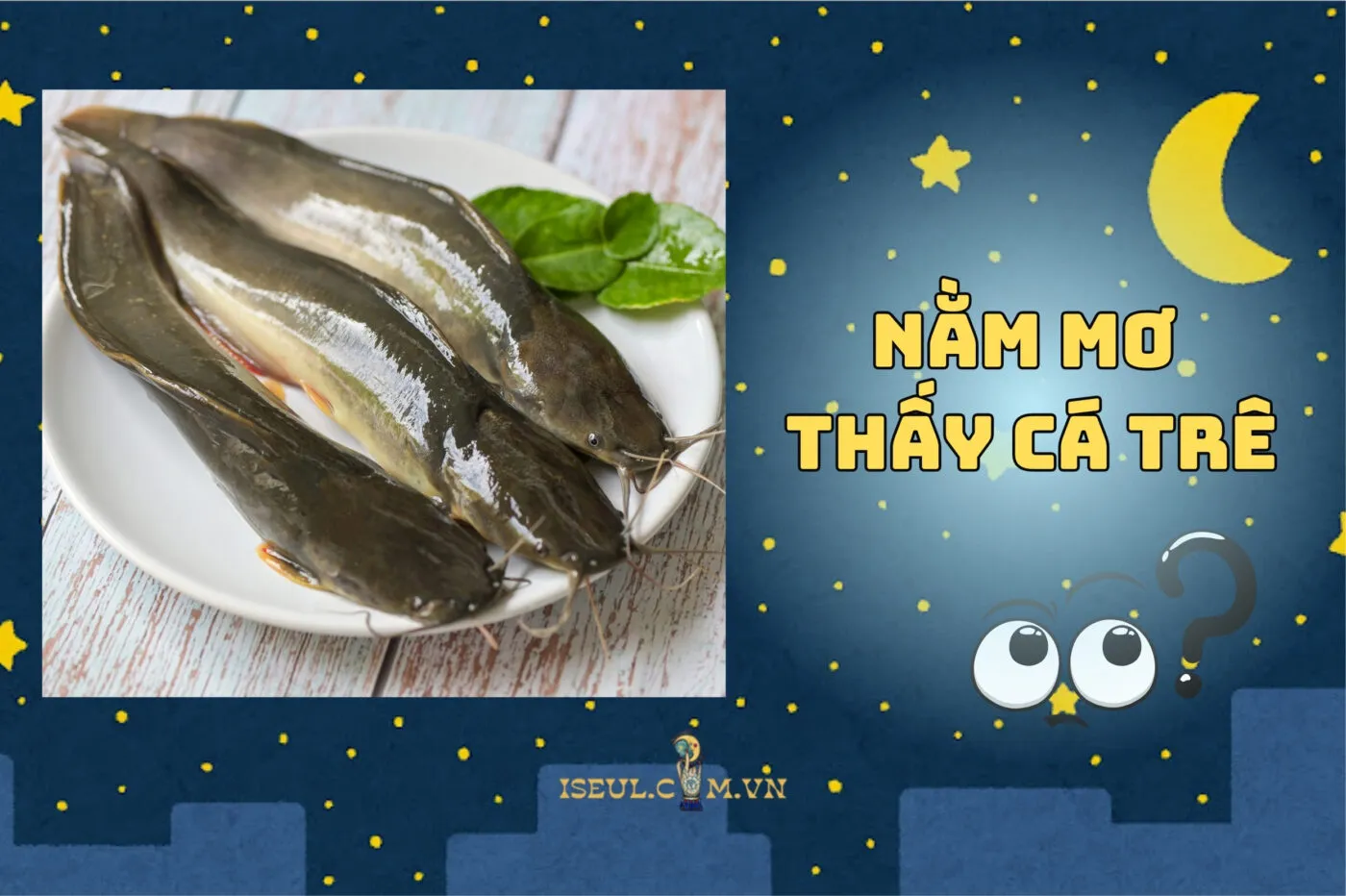 Giải mã nằm mơ thấy cá trê: điềm xấu, tốt và số may mắn 2025