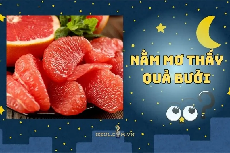 Giải mã nằm mơ thấy quả bưởi: Thông điệp sâu sắc từ tiềm thức 2025