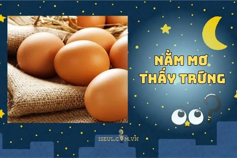 Giải Mã Nằm Mơ Thấy Trứng: Ý Nghĩa, Điềm Báo Và Con Số May Mắn 2025