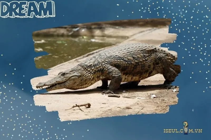 Giải mã ý nghĩa giấc mơ thấy cá sấu