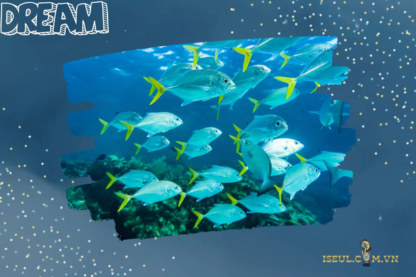 Giải mã ý nghĩa giấc mơ thấy cá và các điềm báo