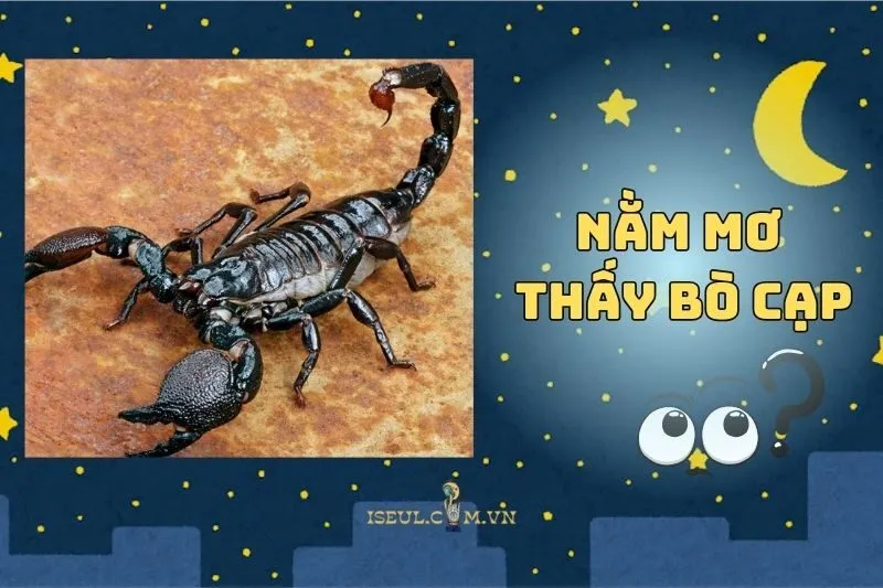 Khám phá ý nghĩa nằm mơ thấy bò cạp và con số may mắn 2025