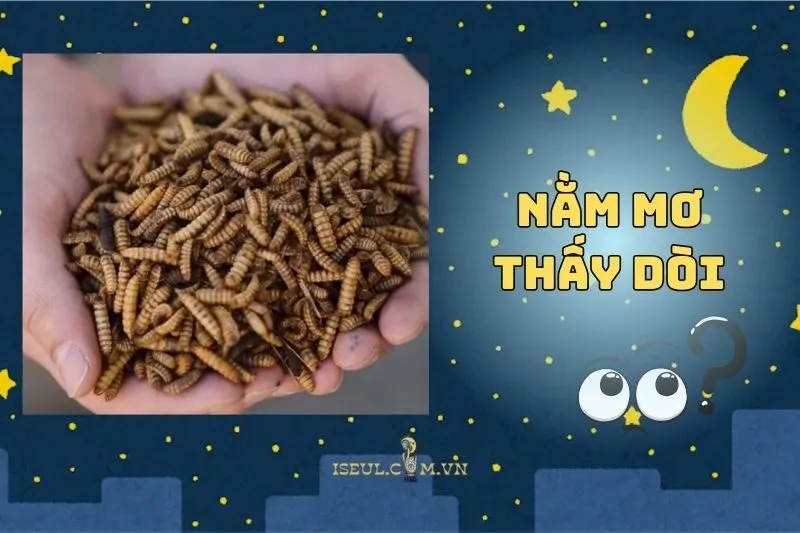 Khám phá ý nghĩa nằm mơ thấy dòi: Điềm báo và cơ hội thay đổi 2025