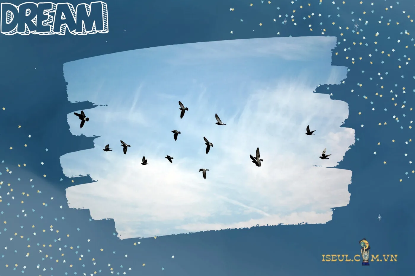 Lời khuyên khi mơ thấy chim: Nên làm gì để đón nhận điềm báo tốt nhất?