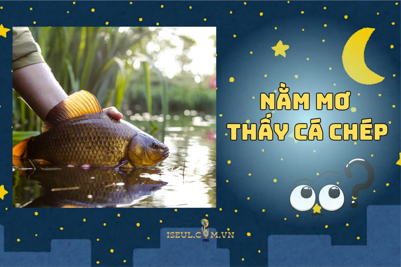 Mơ thấy cá chép có ý nghĩa gì? Khám phá ngay điềm báo nhé 2025