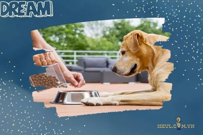 Mơ thấy cho chó ăn: Tượng trưng cho lòng tốt và sự giúp đỡ từ người khác