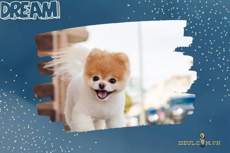 Mơ thấy chó vẫy đuôi mừng: Dấu hiệu của sự hỗ trợ và bảo vệ