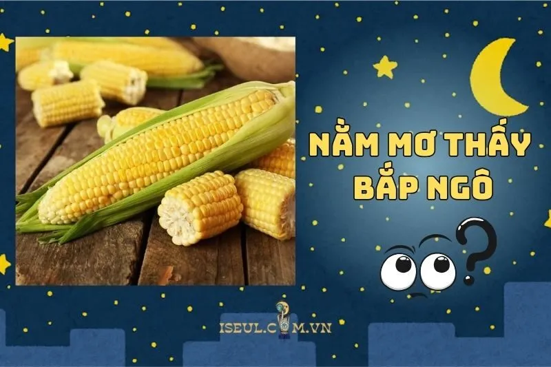 Nằm mơ thấy bắp ngô: Giải mã ý nghĩa và con số tài lộc 2025