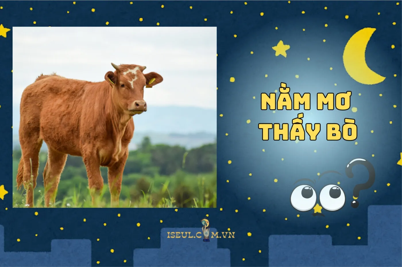 Nằm mơ thấy bò là điềm gì? Giải mã ngay các dấu hiệu may mắn 2025
