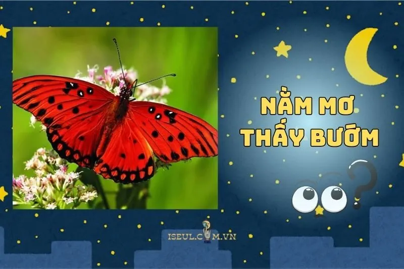 Nằm Mơ Thấy Bướm: Giải Mã Ý Nghĩa Và Điềm Báo Tâm Linh 2025