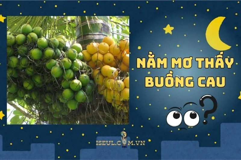 Nằm mơ thấy buồng cau: Hỉ sự hay điềm báo xui xẻo 2025