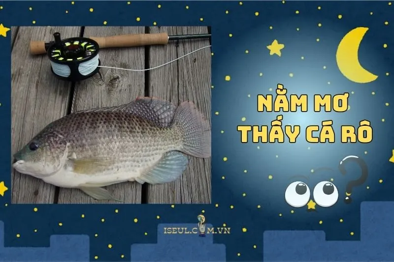 Nằm Mơ Thấy Cá Rô Mang Lại Điềm Báo Gì? Số May Mắn Cần Biết 2025