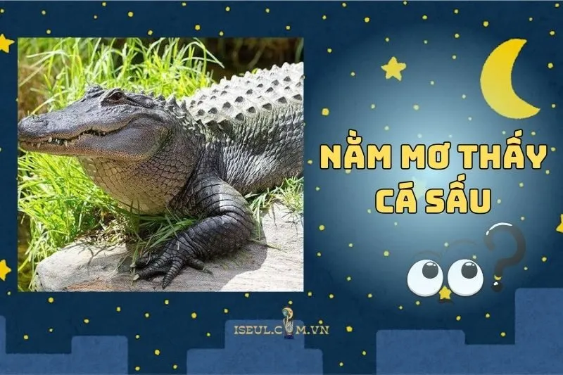 Nằm mơ thấy cá sấu: Điềm lành hay cảnh báo 2025