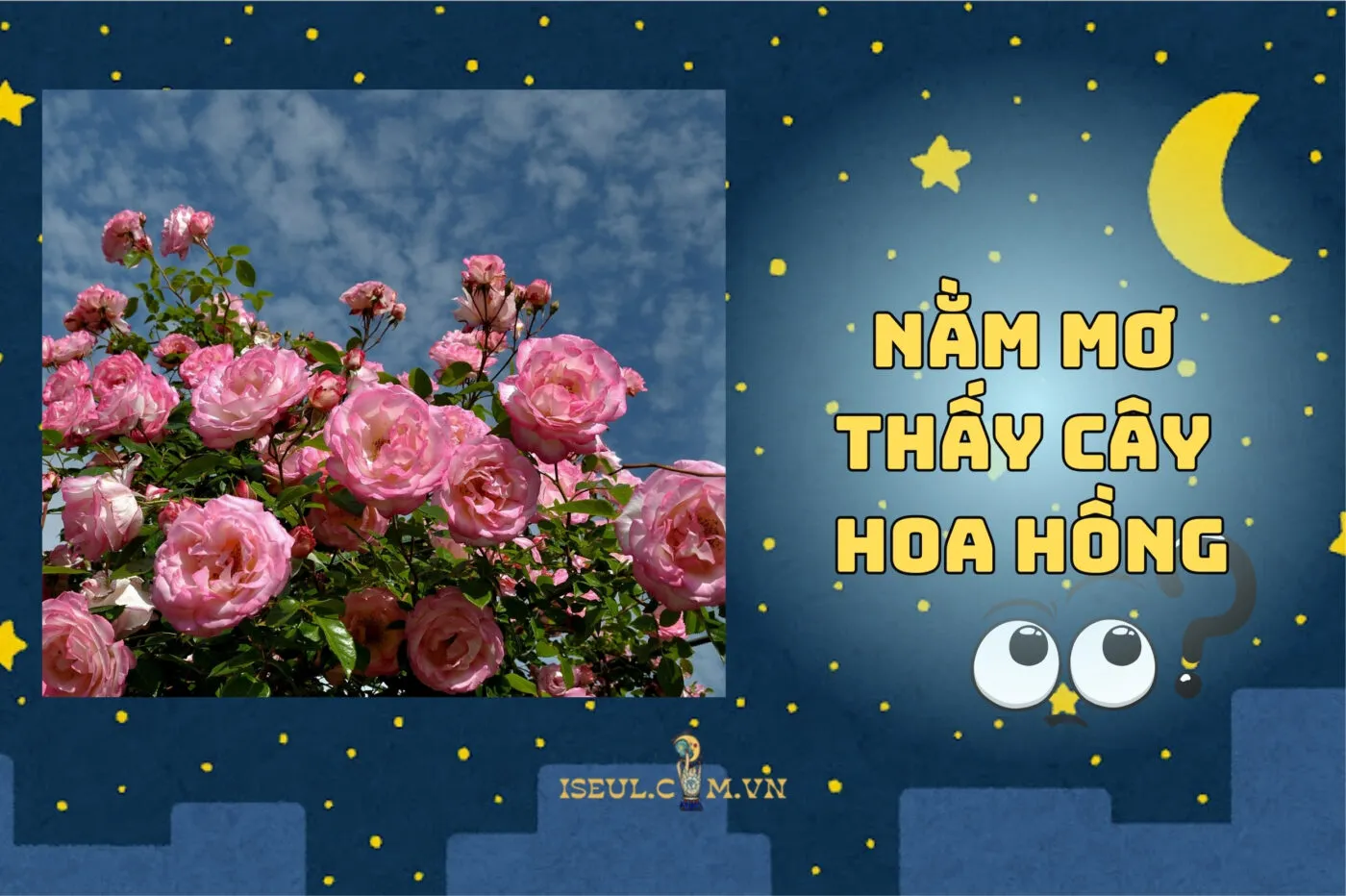 Năm Mơ Thấy Cây Hoa Hồng Có Ý Nghĩa Gì? Giải Mã Điềm Báo Tình Yêu 2025