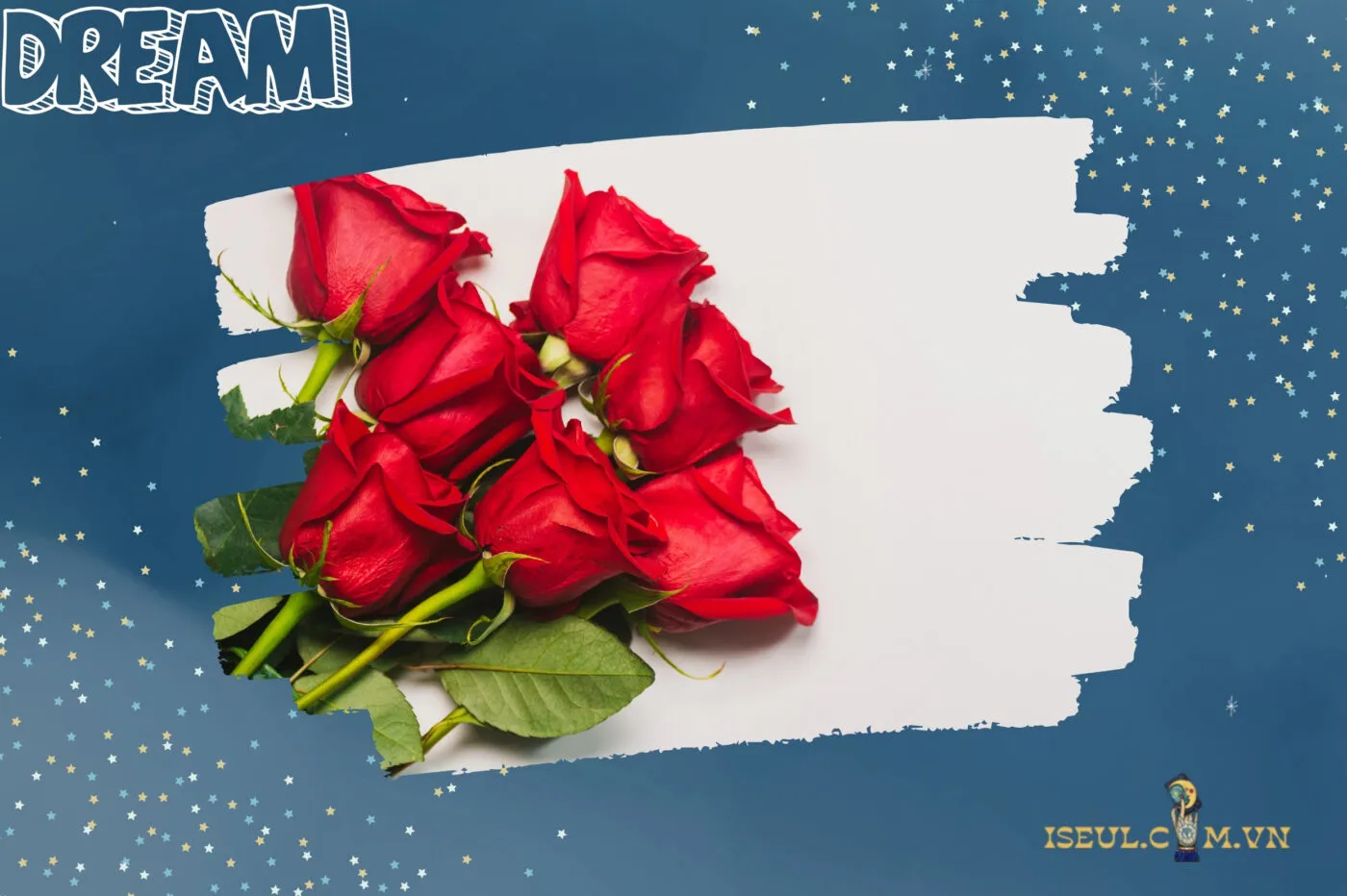 Nằm mơ thấy cây hoa hồng mang ý nghĩa gì?