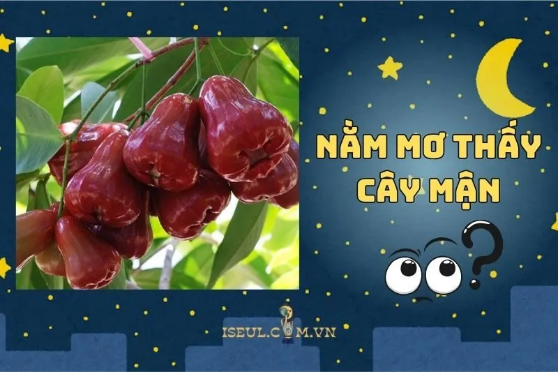 Nằm mơ thấy cây mận: Lời nhắn nhủ tâm linh đầy ý nghĩa 2025