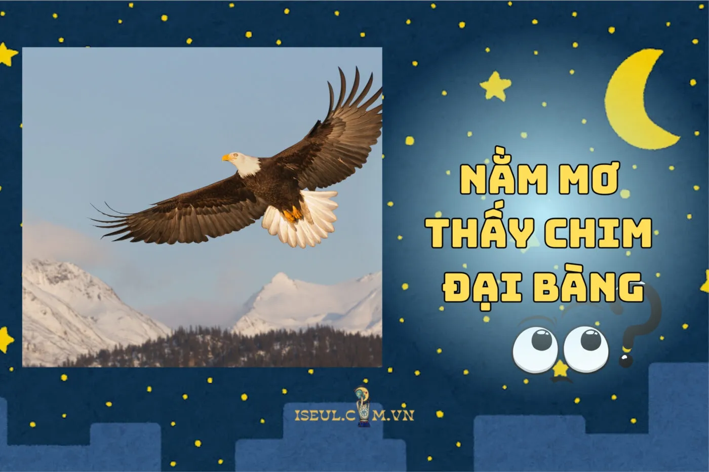 Nằm mơ thấy chim đại bàng là gì? Khám phá ngay ý nghĩa & điềm báo 2025