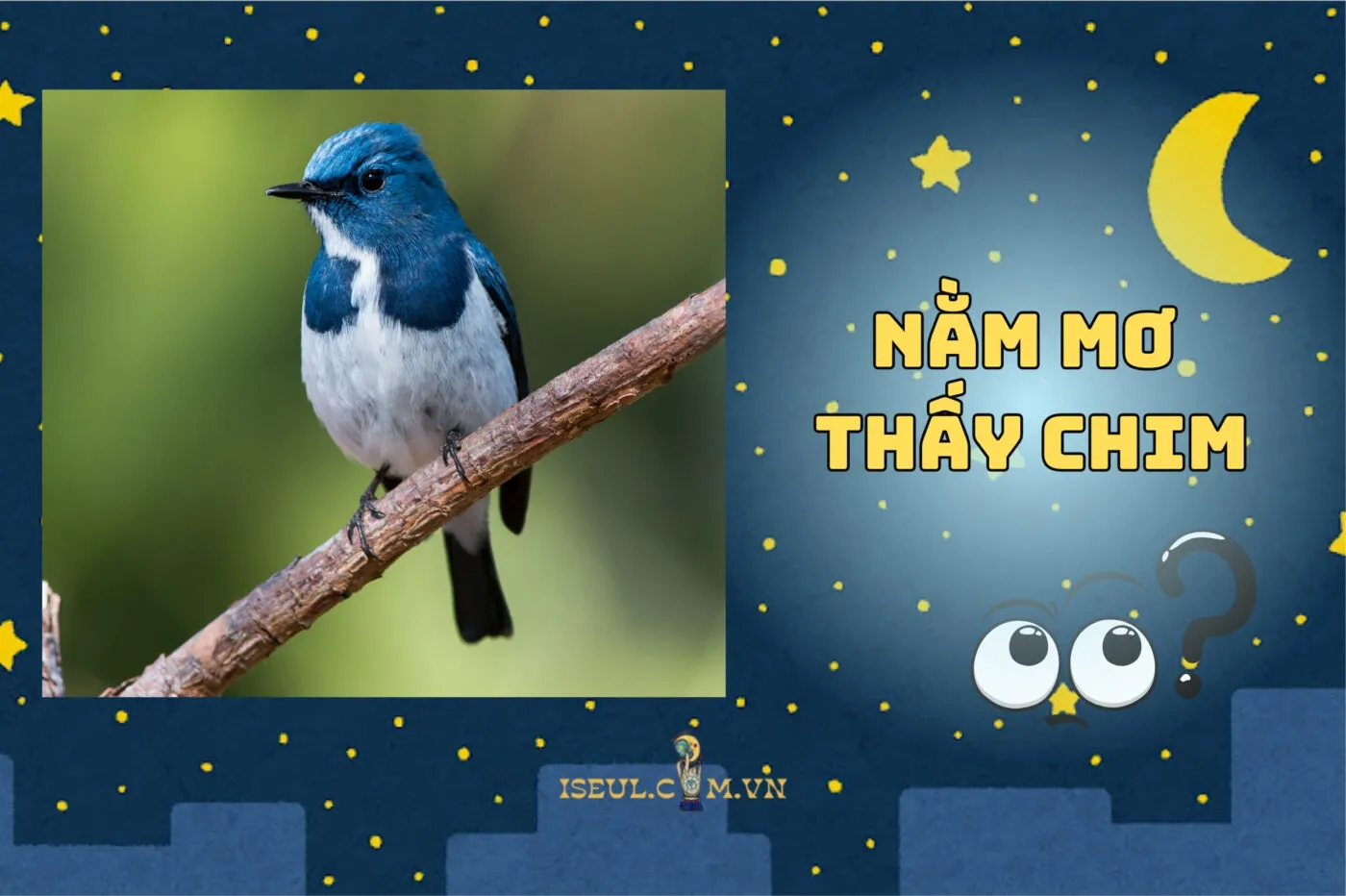 Nằm mơ thấy chim: Điềm lành hay xui? Ý nghĩa và con số hot 2025