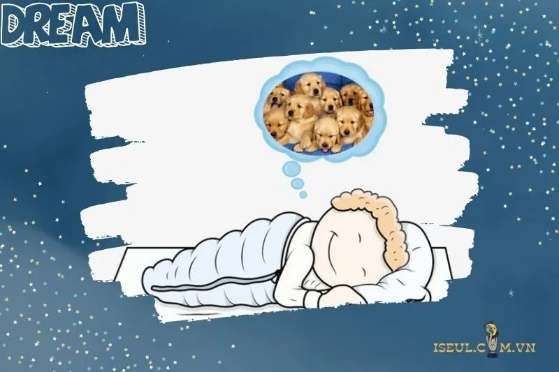 Nằm mơ thấy chó có ý nghĩa gì? Giải mã chi tiết từng giấc mơ