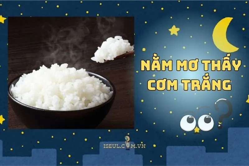 Nằm Mơ Thấy Cơm Trắng Là Điềm Gì? May Mắn Hay Rắc Rối 2025