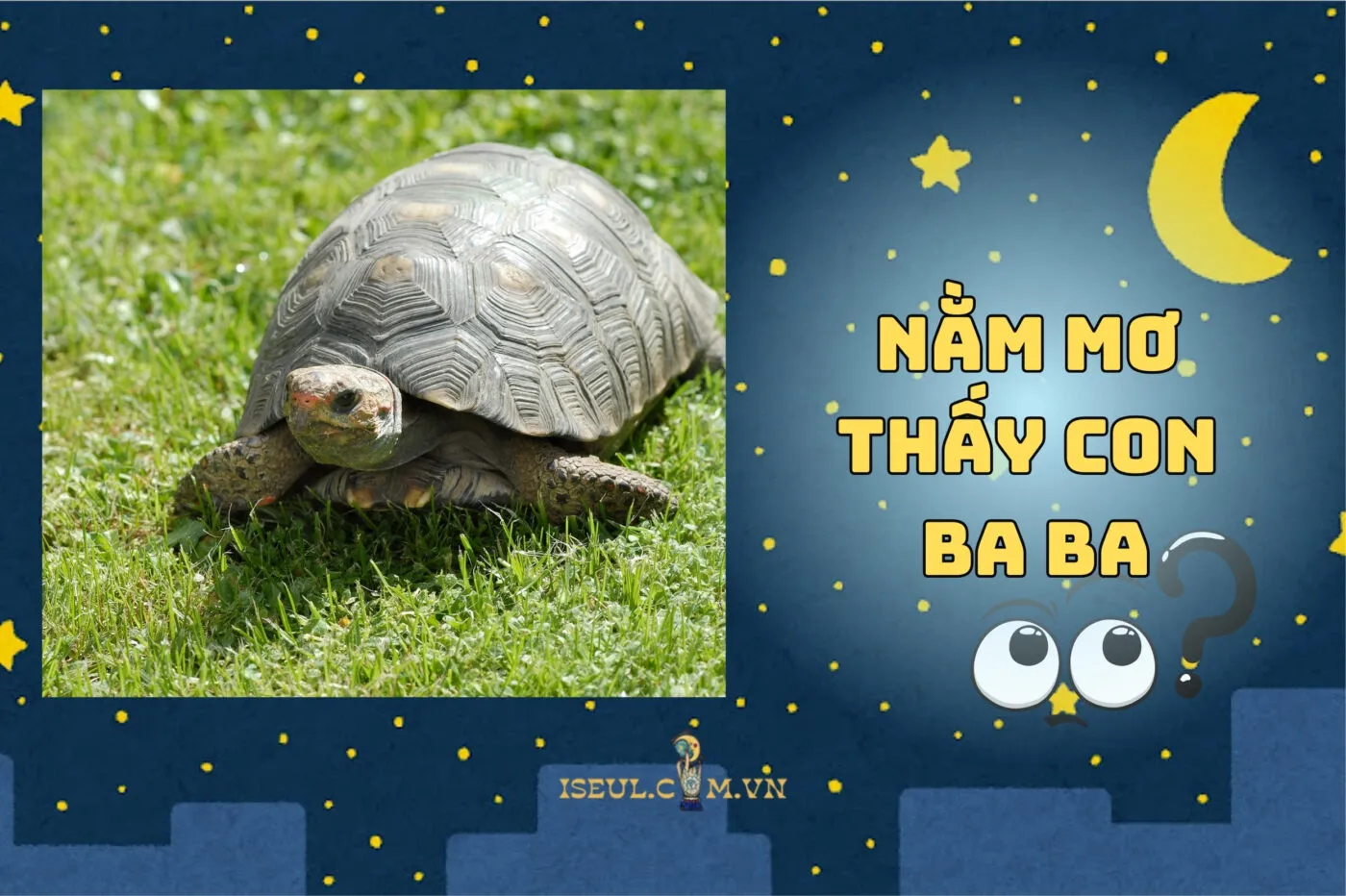 Nằm Mơ Thấy Con Ba Ba: Điềm Báo Tương Lai & Con Số May Mắn 2025