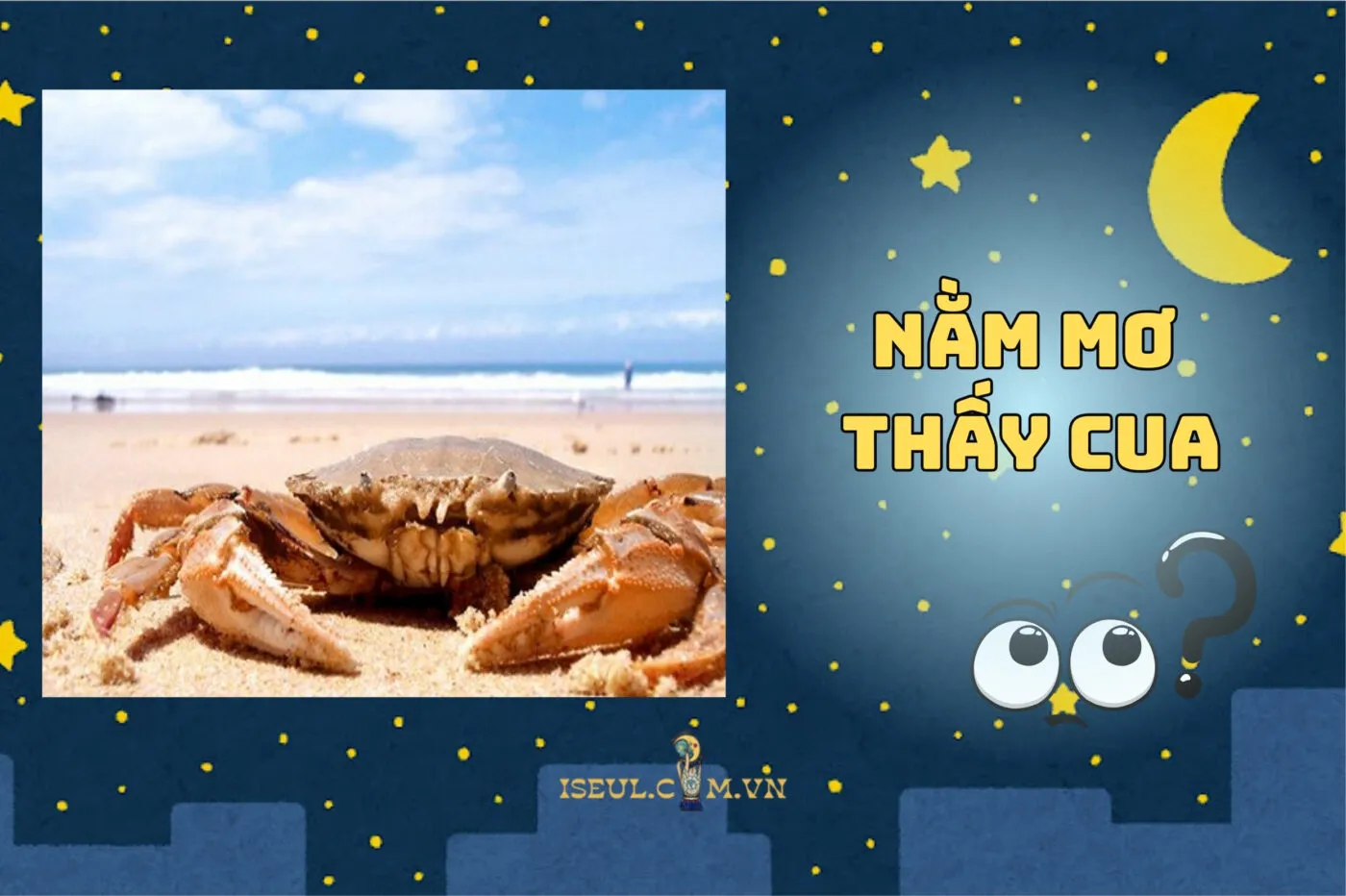 Nằm mơ thấy cua là điềm gì? Giải mã chi tiết và con số may mắn 2025