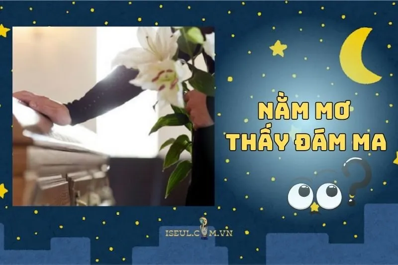 Nằm Mơ Thấy Đám Ma: Ý Nghĩa Sâu Xa Và Lời Nhắn Từ Tiềm Thức 2025