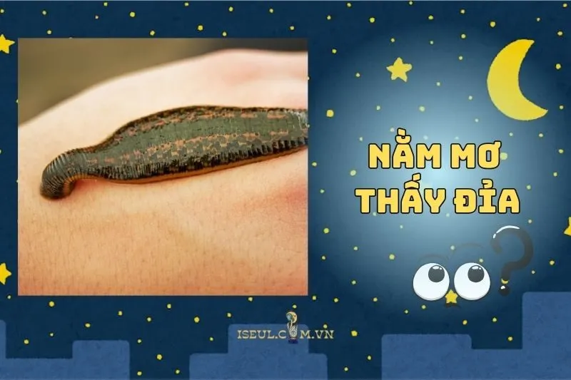 Nằm Mơ Thấy Đỉa: Điềm Báo Gì Cho Bạn 2025