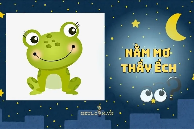 Nằm Mơ Thấy Ếch: Điềm Báo Tài Lộc Hay Cảnh Báo Tình Cảm 2025