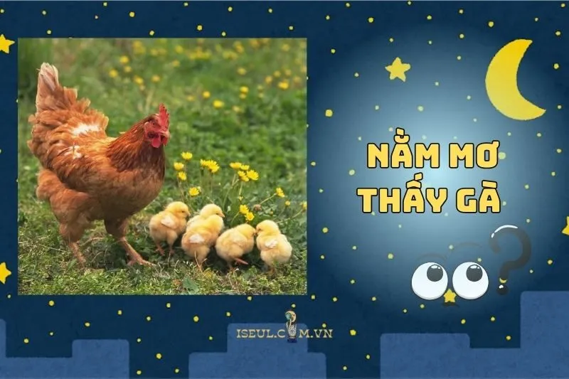 Nằm Mơ Thấy Gà Có Ý Nghĩa Gì? Giải Mã Chi Tiết Từng Trường Hợp 2025