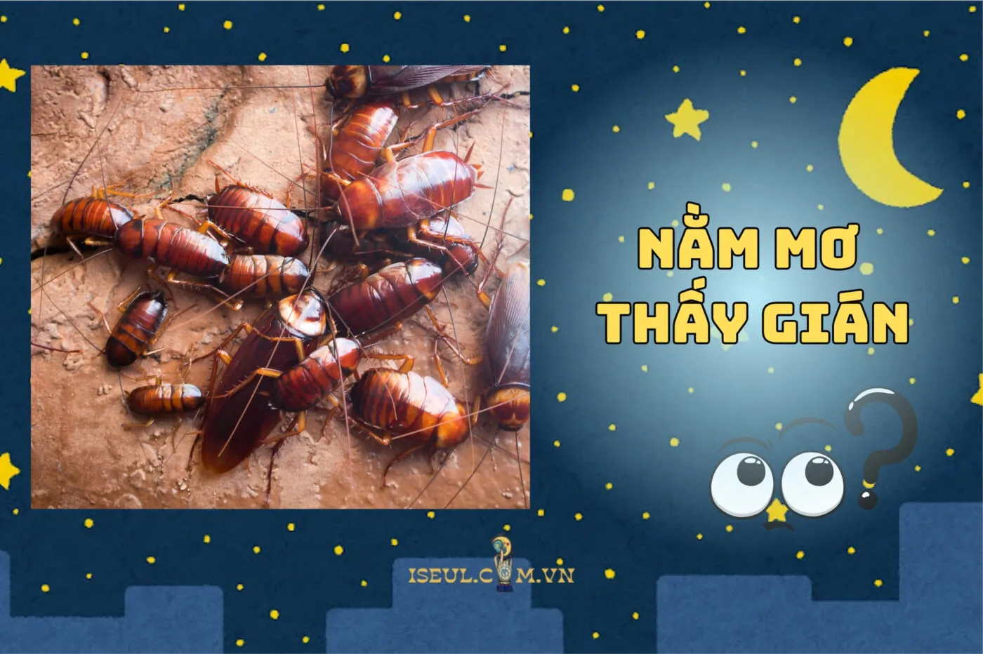 Nằm Mơ Thấy Gián: Điềm Lành Hay Xui Xẻo? Giải Mã Chi Tiết 2025