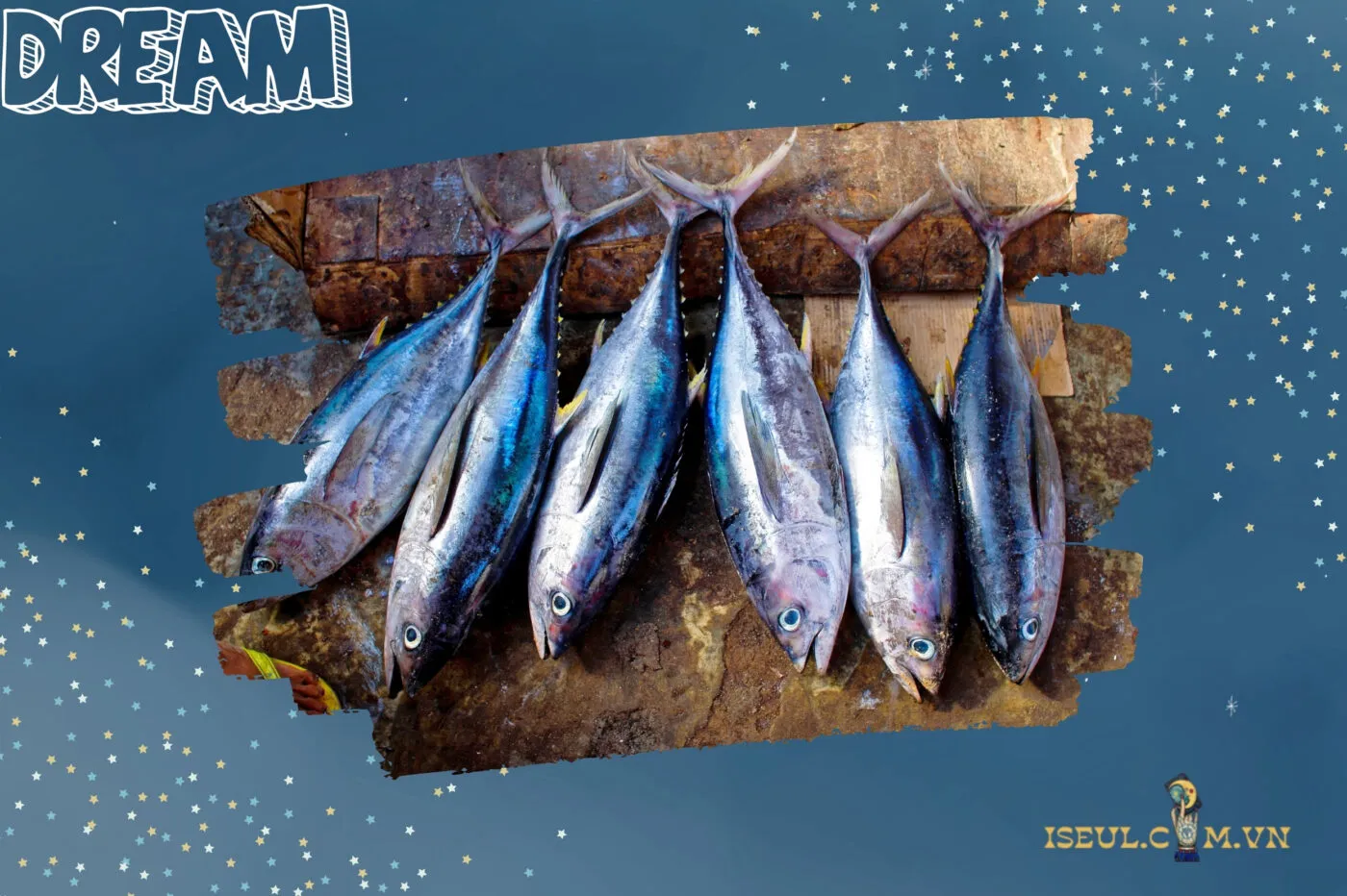 Nằm mơ thấy hải sản sống và hải sản chết: Ý nghĩa đối lập