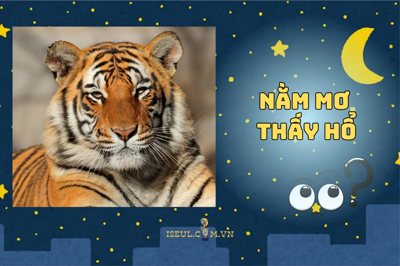 Nằm mơ thấy hổ là hên hay xui? Giải mã giấc mơ chuẩn nhất 2025