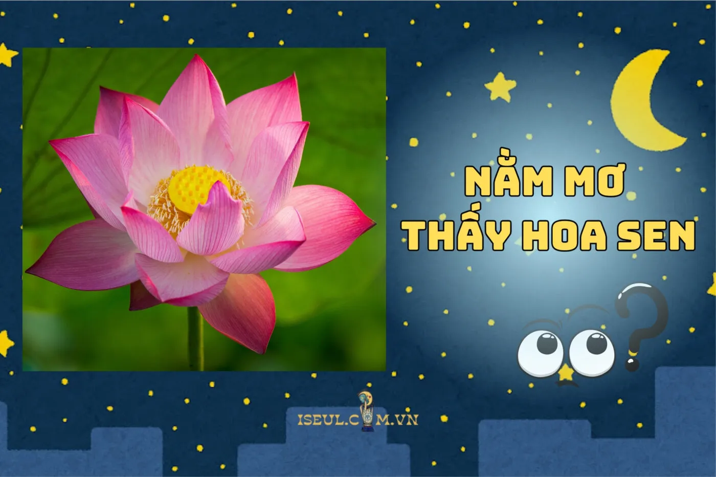 Nằm Mơ Thấy Hoa Sen: Bật Mí Ý Nghĩa Và Điềm Báo Cực Chill 2025