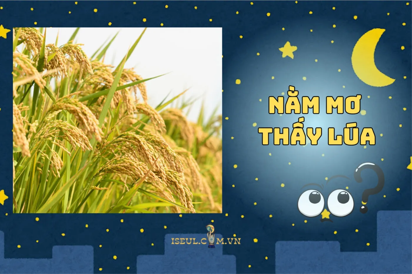 Nằm mơ thấy lúa: Đừng bỏ qua điềm báo cực bí ẩn này 2025