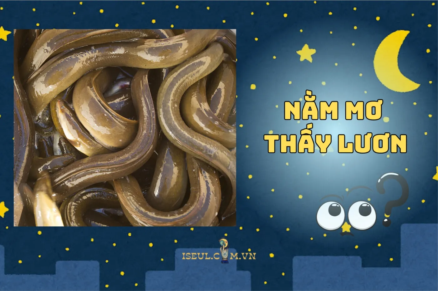 Nằm mơ thấy lươn có ý nghĩa gì? Hé lộ điềm báo cực đỉnh 2025