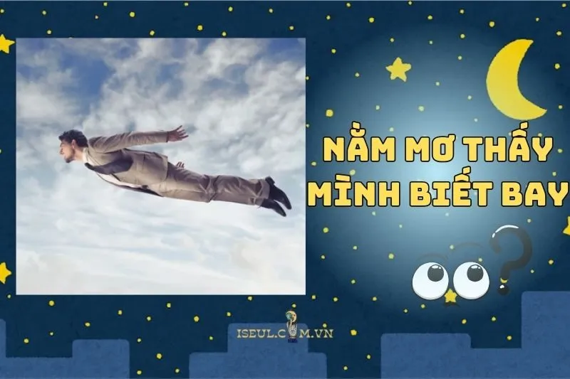 Nằm Mơ Thấy Mình Biết Bay: Ý Nghĩa Và Lời Nhắn Từ Tiềm Thức 2025