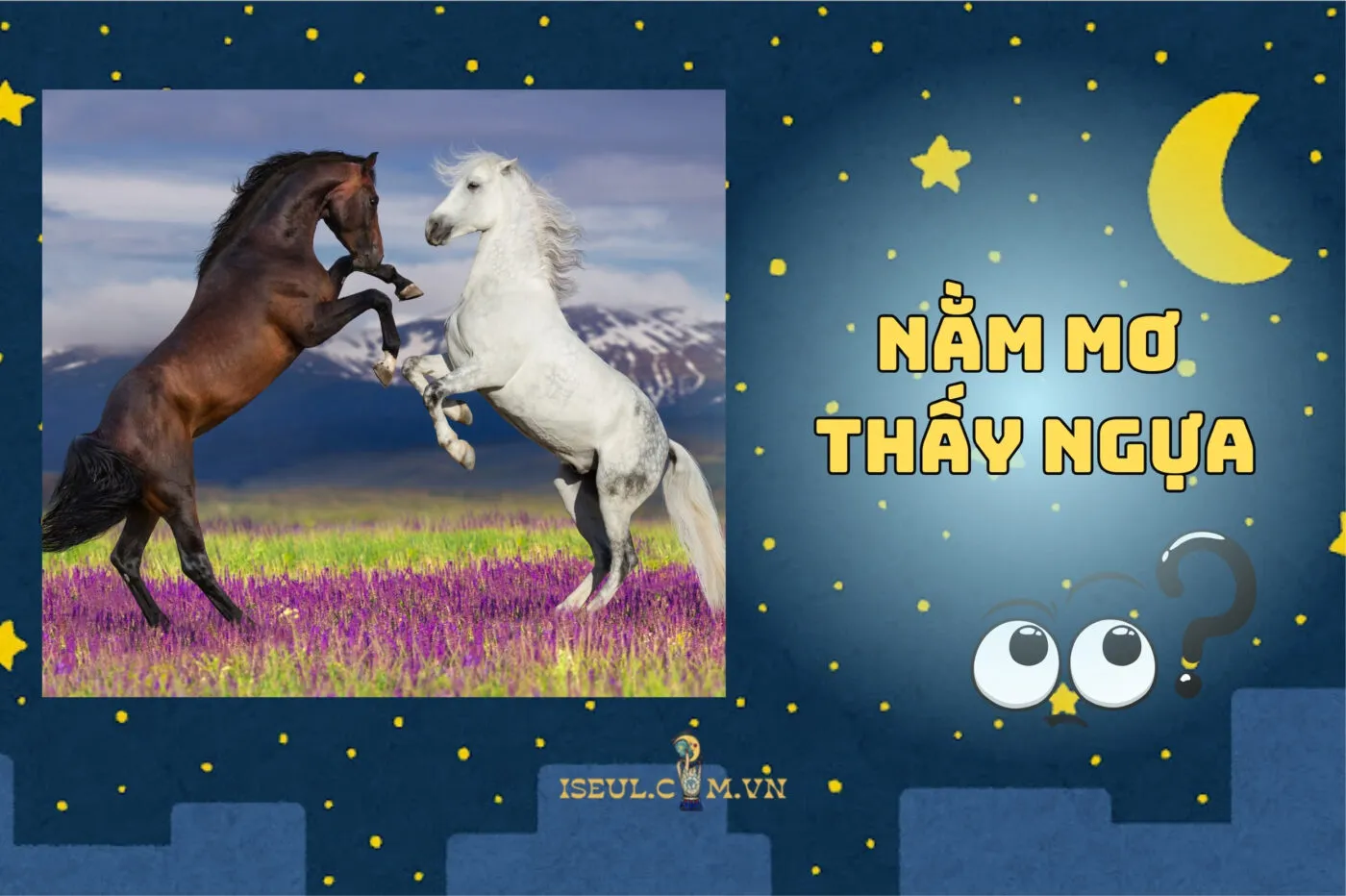 Nằm Mơ Thấy Ngựa Có Gì Hot? Ý Nghĩa Và Số Đẹp Liên Quan 2025
