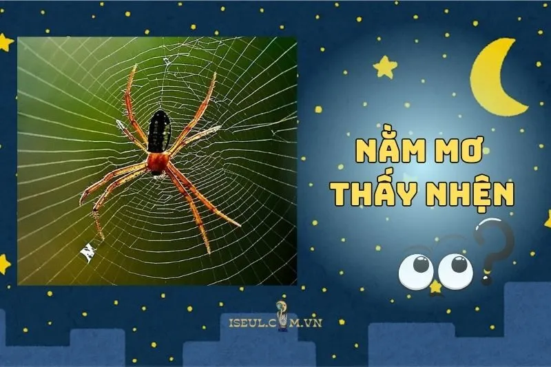 Nằm Mơ Thấy Nhện: Dự Báo Điều Gì Cho Bạn 2025